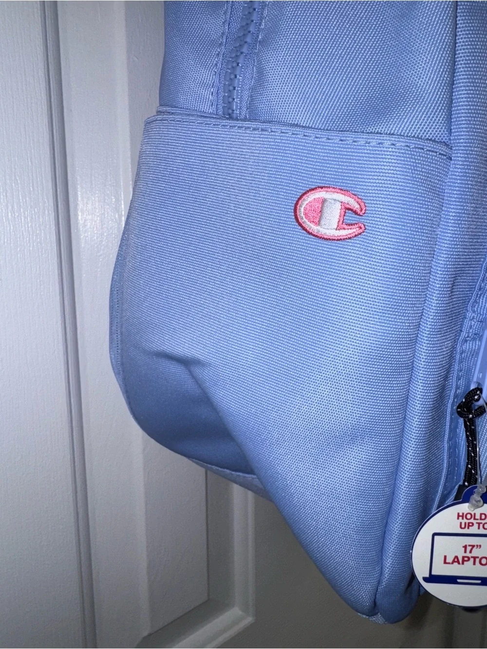Champion Estate Kids Backpack in Blue with Pink Handle Holds up to 17